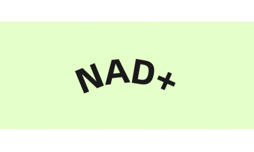NAD+与衰老的关系