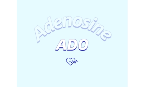 腺苷的心脏保护特性
