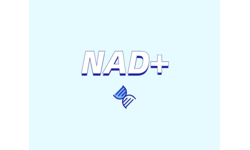 NAD与NMN的全新概念？