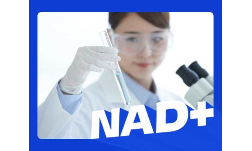 补NAD+，选对才有效