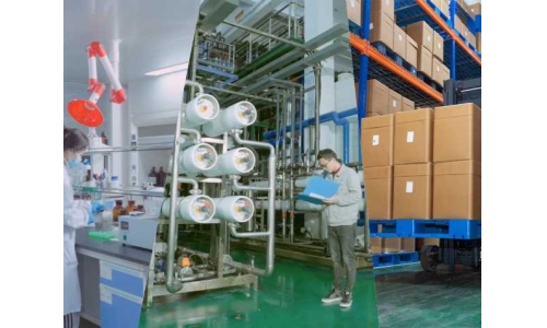 酶法催化赋能：古特生物技术创新与产业化实践