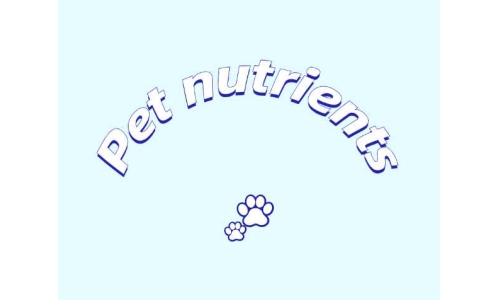 SAMe：宠物健康的天然营养密钥