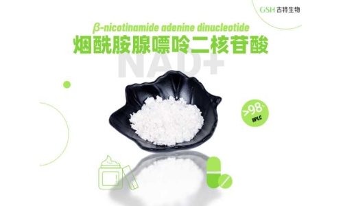 NAD+：守护健康的核心辅酶