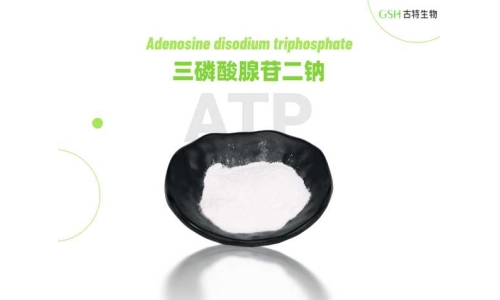 ATP补充剂真能提升运动表现吗？