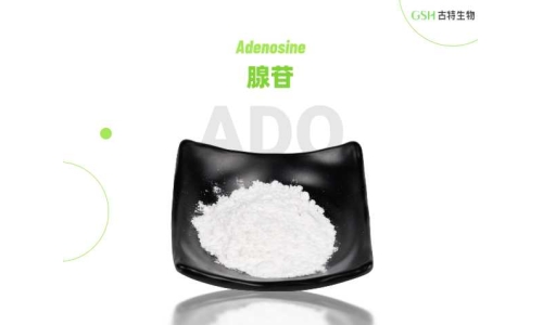 腺苷：藏在人体里的天然平衡调节分子