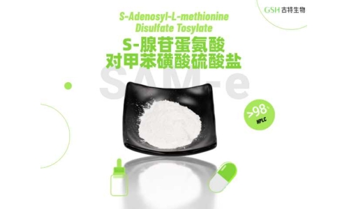 SAM-e：备受关注的甲基营养原料