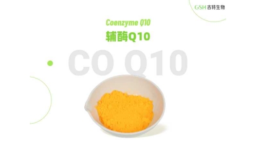 多元潜力营养原料：辅酶Q10