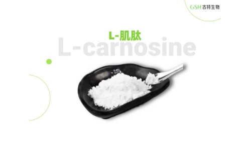 肌肽——被科研关注的内源二肽
