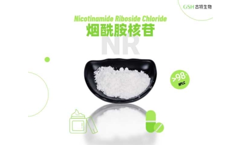 认识 NR：备受关注的 B 族维生素相关营养原料