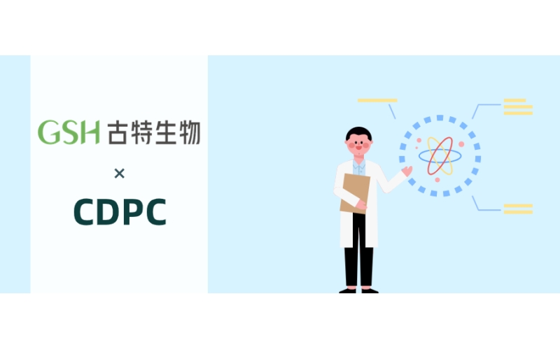胆碱补充剂