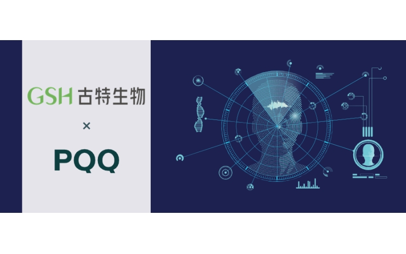 什么是PQQ？
