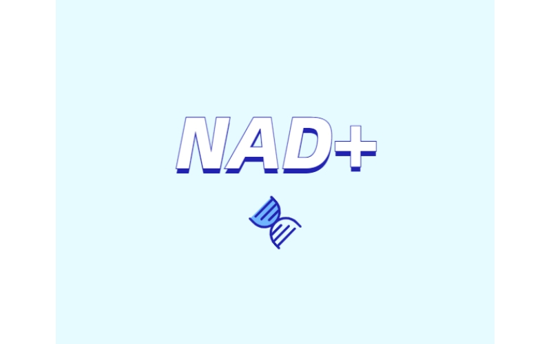 NAD与NMN的全新概念？
