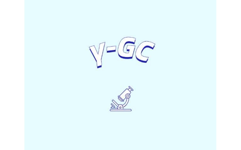 认识γ-谷氨酰半胱氨酸