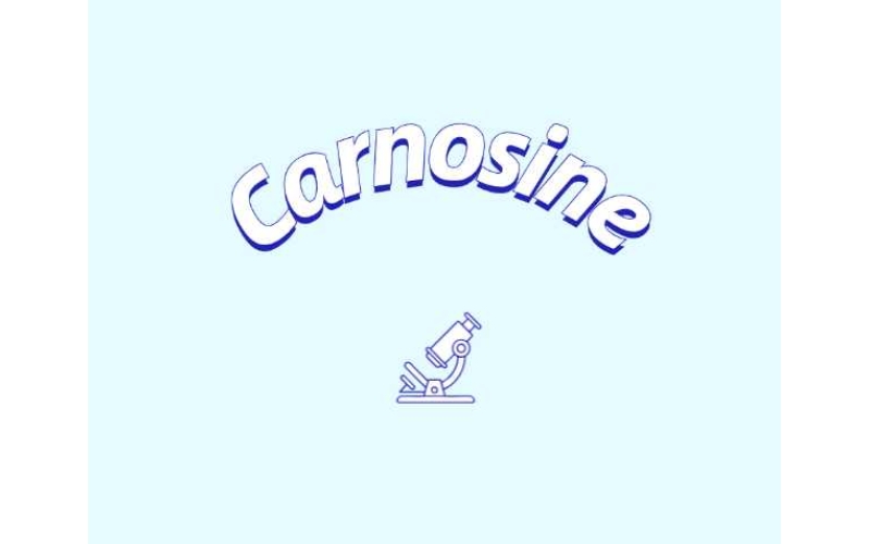 肌肽补充剂或可改善年轻群体认知