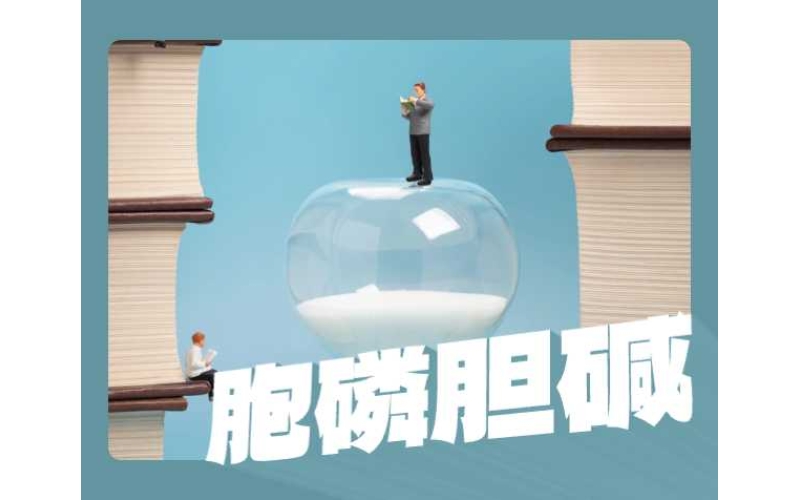 胞磷胆碱比胆碱更好吗？