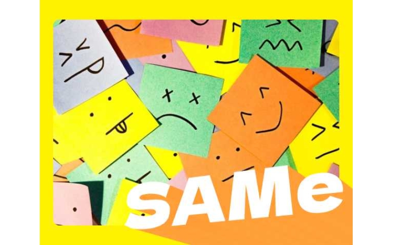 缓解情绪的帮手SAMe