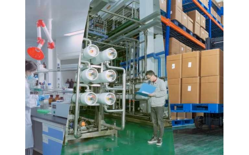 酶法催化赋能：古特生物技术创新与产业化实践