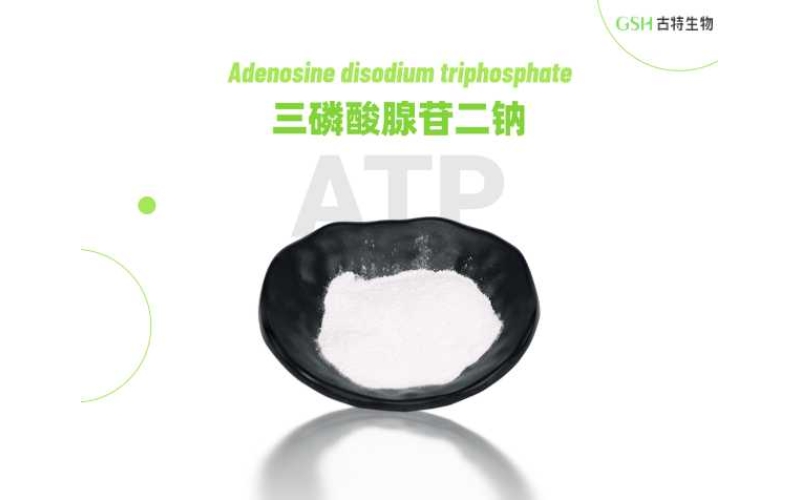 ATP补充剂真能提升运动表现吗？