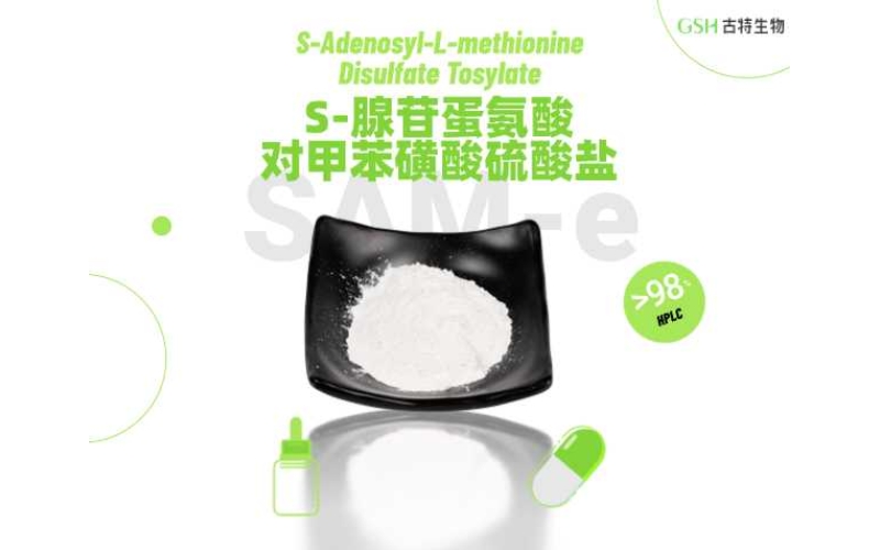 SAM-e：备受关注的甲基营养原料