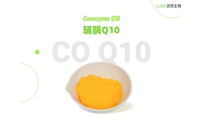 多元潜力营养原料：辅酶 Q10
