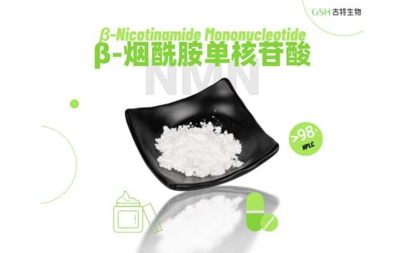 NMN的五大核心生理调节分子机制