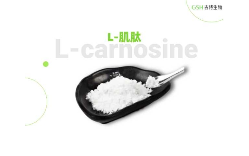 肌肽——被科研关注的内源二肽