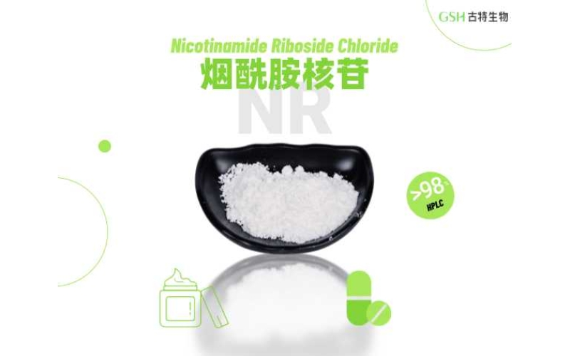 认识 NR：备受关注的 B 族维生素相关营养原料